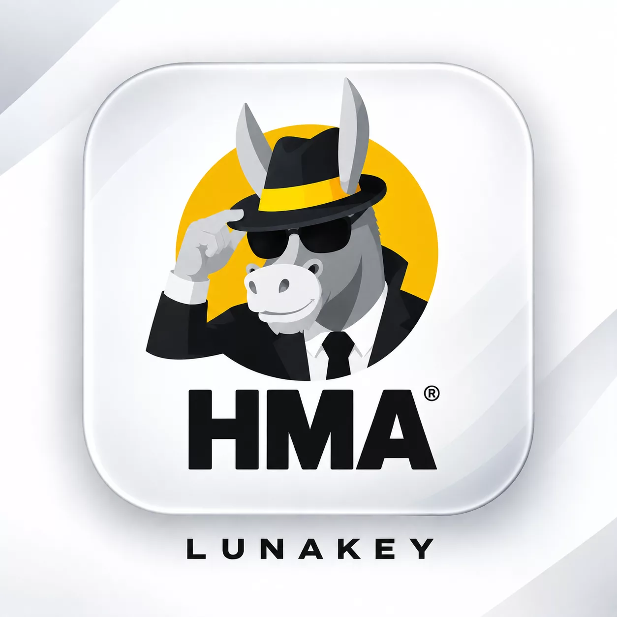 HMA VPN